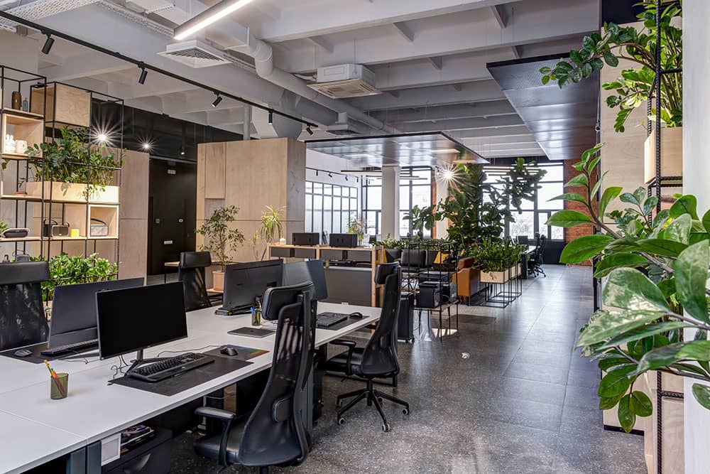 a modern, lively office fit out with lots of plants, and high quality finishes